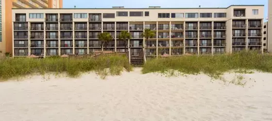 Peppertree Sands | Güney Karolayna - Myrtle Plajı (ve civarı) - North Myrtle Beach - Ocean Drive Beach