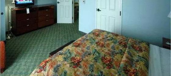 La Quinta Inn Tampa Near Busch Gardens | Florida - Tampa (ve civarı) - Tampa