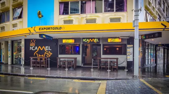 Fat Camel Hostel & Bar | Auckland Bölgesi - Auckland (ve civarı) - Auckland - Auckland Merkezi İş Bölgesi