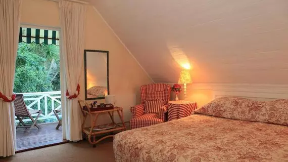 Yellowwood Lodge | Western Cape (il) - Knysna