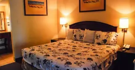 Nite Star Inn and Suites | Teksas - Dallas (ve civarı) - Arlington