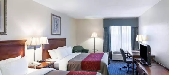 Comfort Inn & Suites San Antonio Airport | Teksas - San Antonio (ve civarı) - San Antonio - Kuzey San Antonio - SAT Havalimanı