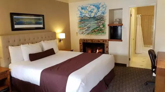 Lone Oak Lodge | Kaliforniya - Monterey (ve civarı) - Monterey