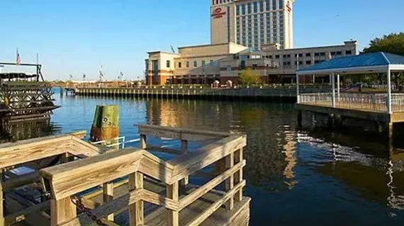 Renaissance Portsmouth-Norfolk Waterfront Hotel | Virginia - Norfolk - Virginia Beach (ve civarı) - Portsmouth