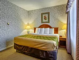 Econo Lodge Inn & Suites | Michigan - Grand Rapids (ve civarı) - Grand Rapids