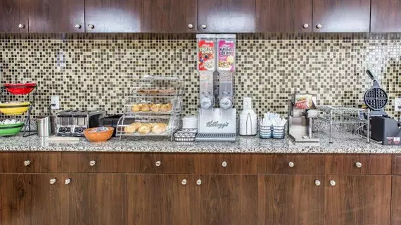 Econo Lodge Midtown | Georgia - Savannah (ve civarı) - Savana - Midtown