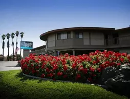 Sands by the Sea Motel | Kaliforniya - San Simeon (ve civarı) - San Simeon