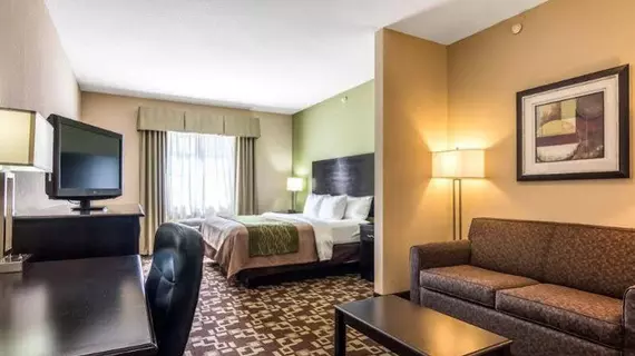 Comfort Inn & Suites Mansfield | Louisiana - Mansfield