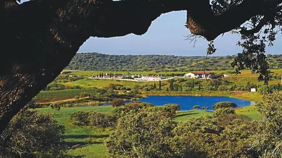 Herdade Do Sobroso - Country House | Alentejo - Beja Bölgesi - Vidigueira