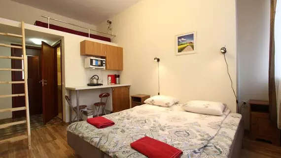 STN Apartments on Kolomenskaya | Leningrad Bölgesi - St. Petersburg (ve civarı) - St. Petersburg - Tsentralny