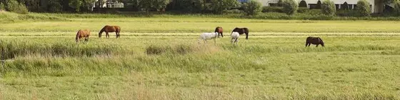 NH Naarden | Kuzey Hollanda - Naarden