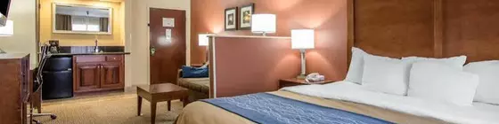 Comfort Inn Livingston | Alabama - Demopolis (ve civarı) - Livingston