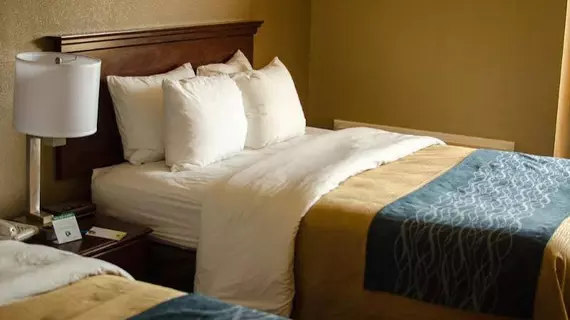 Comfort Inn Atlanta Downtown South | Georgia - Atlanta (ve civarı) - Atlanta