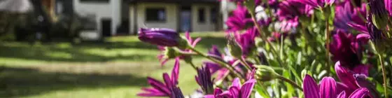 Winelands Villa Guesthouse and Cottages | Western Cape (il) - West Coast DC - Drakenstein - Cape Town (ve civarı) - Cape Town - Somerset West