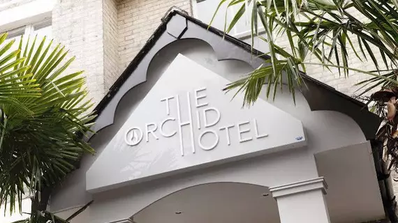 Orchid Hotel and Orchid Gardens Hotel | Dorset (kontluk) - Bournemouth - Bournemouth Kent Merkezi