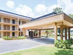 Baymont Inn and Suites Pensacola | Florida - Pensacola (ve civarı) - Pensacola