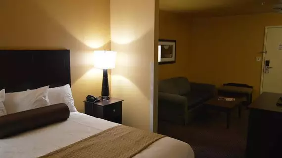 Best Western Plus Vermilion River Inn & Suites | Louisiana - Lafayette (ve civarı) - Lafayette