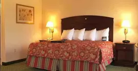 Hampton Inn Clinton | Missouri - Clinton - Clinton