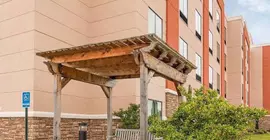 Comfort Suites Bossier City - Shreveport East | Louisiana - Bossier Parish - Shreveport (ve civarı) - Bossier City