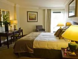 Sanctum International Serviced Apartments | Londra (ve civarı) - City of Westminster - Maida Vale