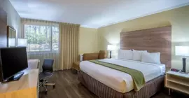 Wyndham Garden Washington DC North BW Parkway | Maryland - College Park (ve civarı) - Hyattsville