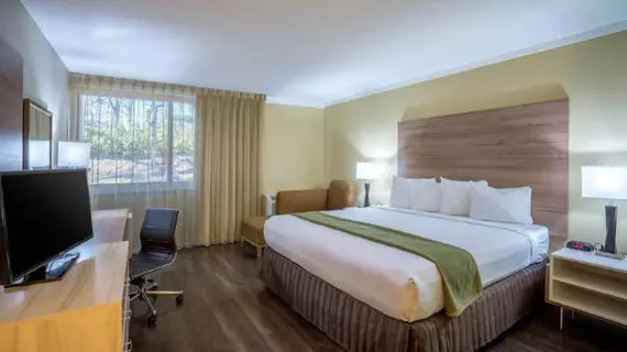 Wyndham Garden Washington DC North BW Parkway | Maryland - College Park (ve civarı) - Hyattsville