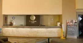 Comfort Inn Veracruz | Veracruz - Veracruz (ve civarı) - Veracruz - Malecon