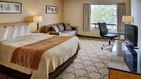 Comfort Inn Newmarket | Ontario - Toronto (ve civarı) - Newmarket