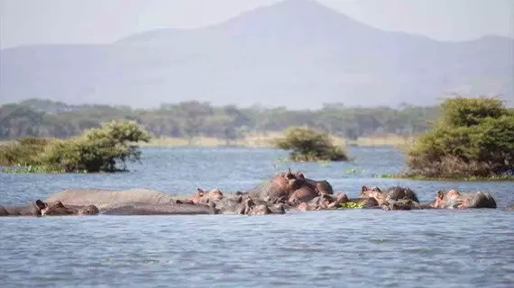 Lake Naivasha Resort | Nakuru İlçesi - Nakuru (ve civarı) - Naivasha