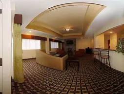 Comfort Inn and Suites | Güney Karolayna - Greenville - Spartanburg (ve civarı) - Greenville