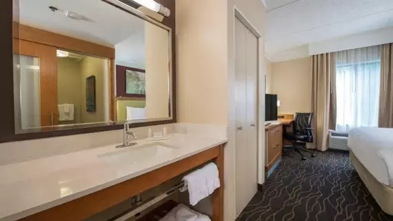 SpringHill Suites San Antonio Downtown/Riverwalk Area | Teksas - San Antonio (ve civarı) - San Antonio - San Antonio Merkezi