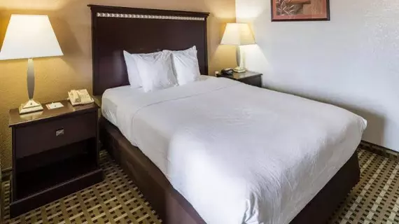 Comfort Suites Burleson - South Fort Worth | Teksas - Fort Worth (ve civarı) - Burleson