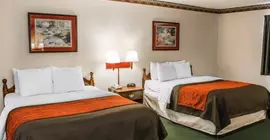 Comfort Inn Lebanon | Indiana - Indianapolis (ve civarı) - Lebanon