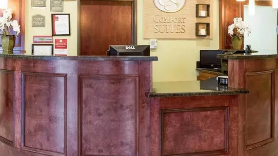 Comfort Suites Harvey | Louisiana - New Orleans (ve civarı) - Harvey