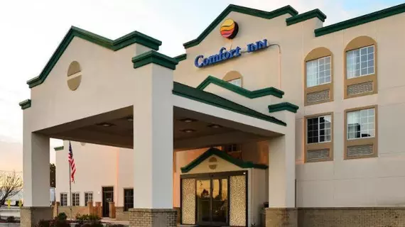 Comfort Inn Decatur | Alabama - Huntsville (ve civarı) - Decatur - Priceville