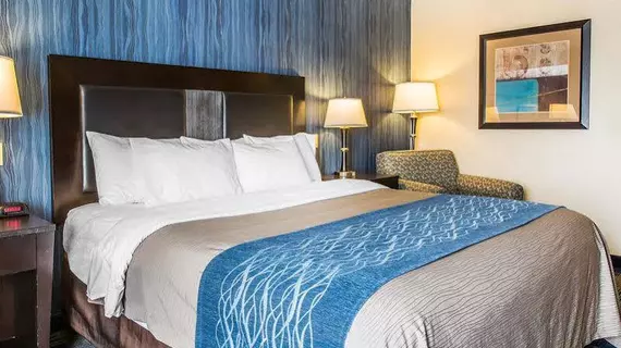 Comfort Inn & Suites Meriden | Connecticut - Hartford (ve civarı) - Meriden