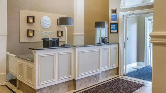 Comfort Inn Plainwell | Michigan - Kalamazoo (ve civarı) - Plainwell