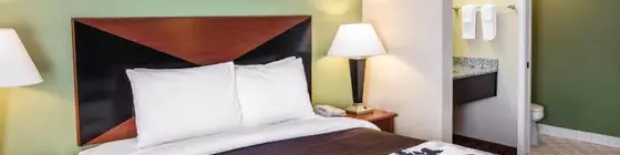 Sleep Inn Denver Tech Center | Kolorado - Denver (ve civarı) - Greenwood Village