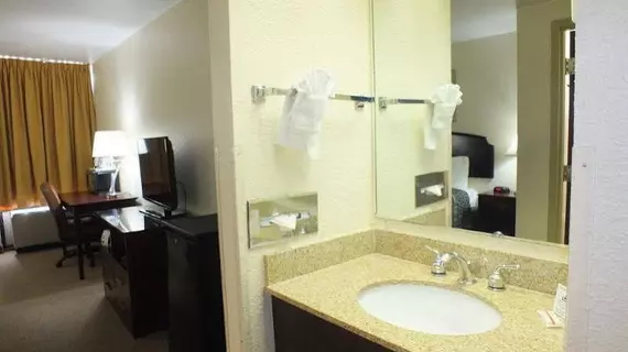 Days Inn Indianapolis Off I69 | Indiana - Indianapolis (ve civarı) - Indianapolis - Castleton