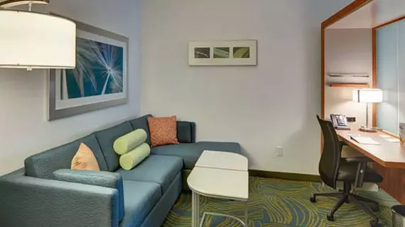 SpringHill Suites by Marriott Dallas Plano/Frisco | Teksas - Dallas (ve civarı) - Plano