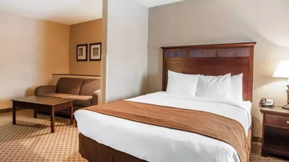 Comfort Suites Park Place | Wisconsin - Milwaukee (ve civarı) - Milwaukee