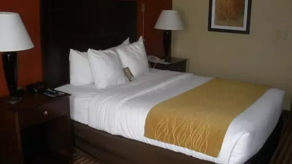 Comfort Inn & Suites Dayville | Connecticut - Willington (ve civarı) - Dayville