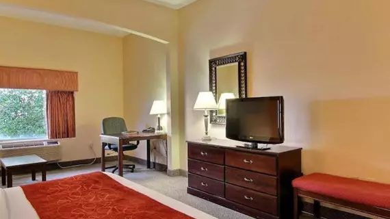 Comfort Suites Airport | Florida - Jacksonville (ve civarı) - Jacksonville