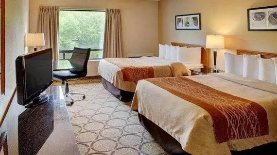 Comfort Inn Edmonton West | Alberta - Edmonton (ve civarı) - Edmonton - West Edmonton