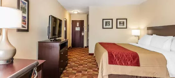 Comfort Inn and Suites Jasper | Alabama - Jasper