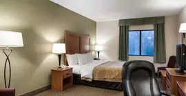 Comfort Inn & Suites Lavale | Maryland - Cumberland (ve civarı) - LaVale