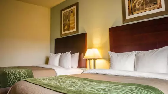 COMFORT INN & SUITES FORT WALTON BEACH | Florida - Fort Walton Beach - Destin (ve civarı) - Fort Walton Beach