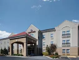 Comfort Suites Salisbury | Kuzey Karolayna - Lexington - Salisbury (ve civarı) - Salisbury