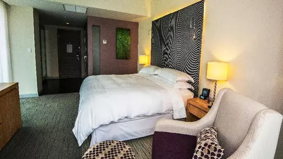 Sheraton San Jose Hotel, Costa Rica | San Jose (ili) - Guachipelin