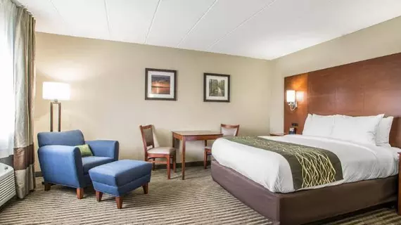 Comfort Inn | Indiana - Hammond